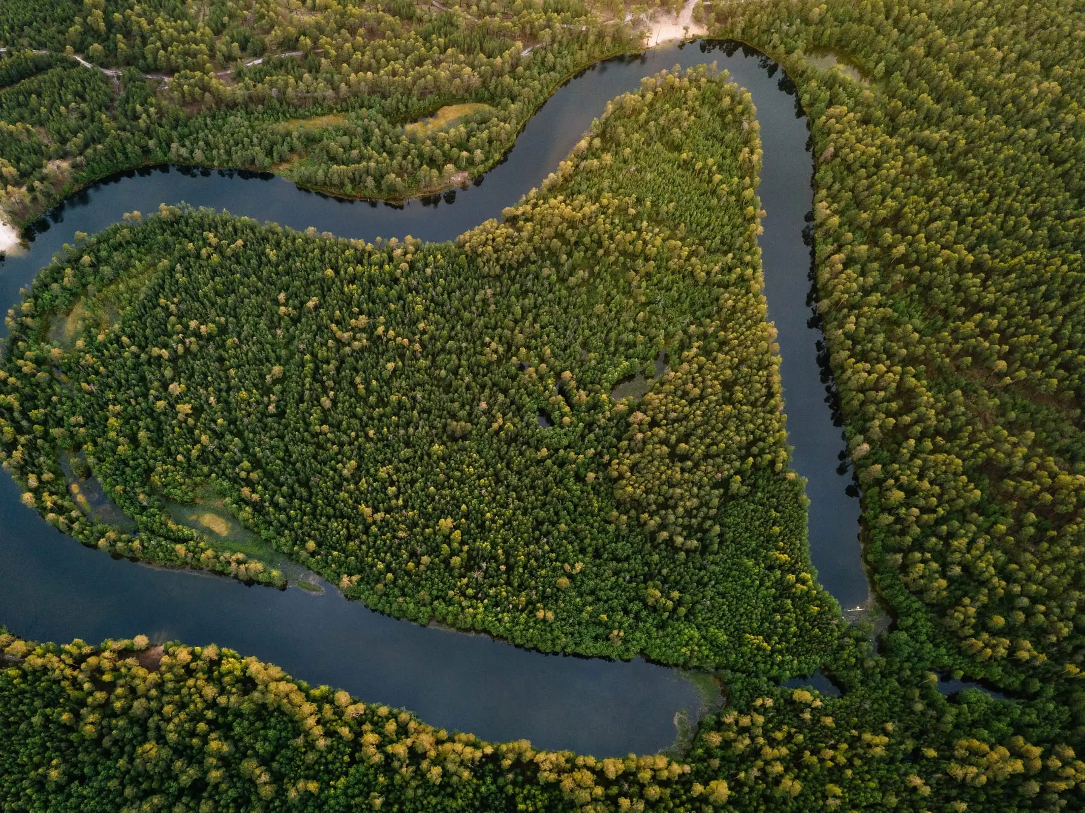 A riverine corridor from the air