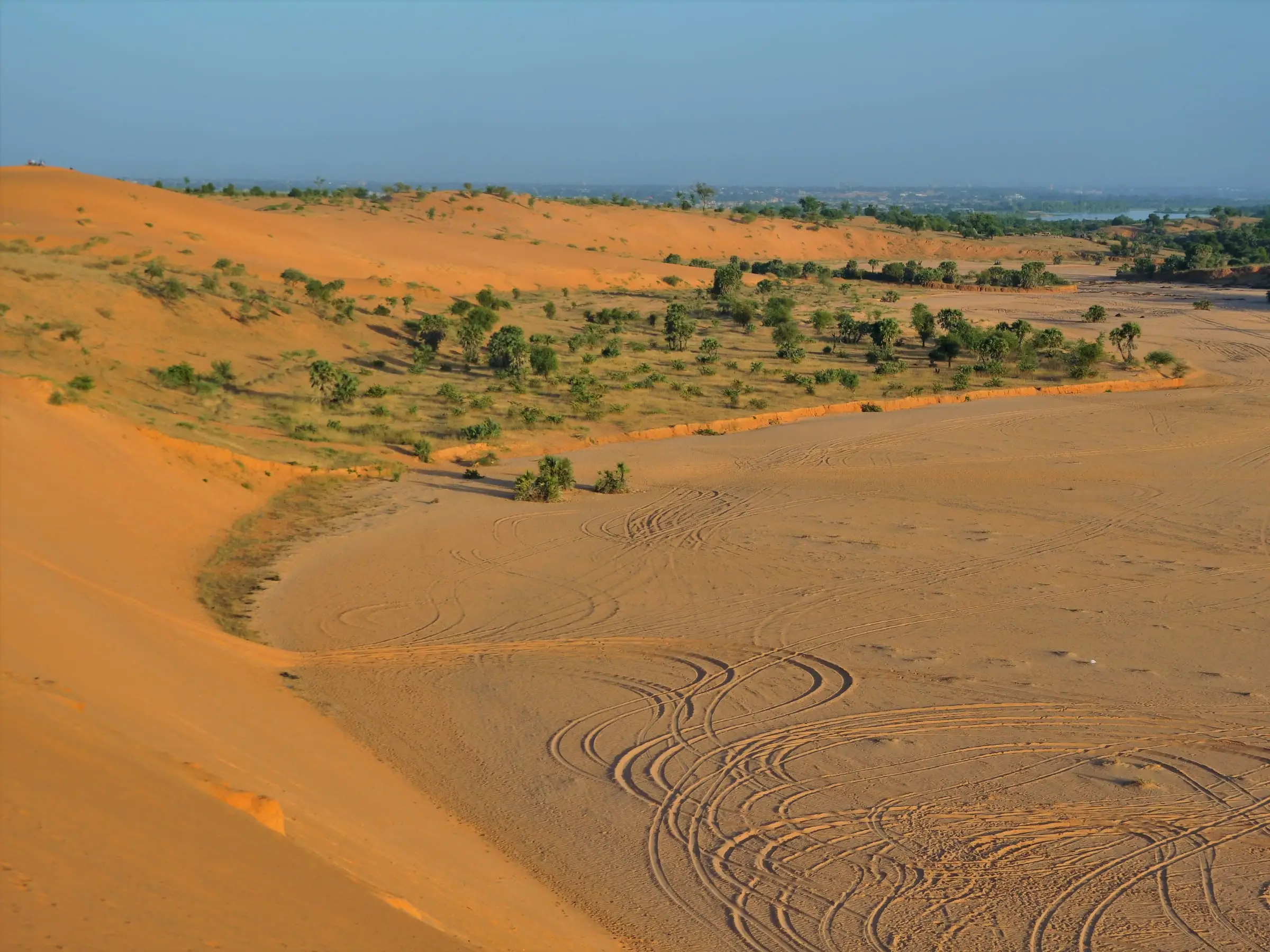 An orange dune field running up against green floodplain along a river