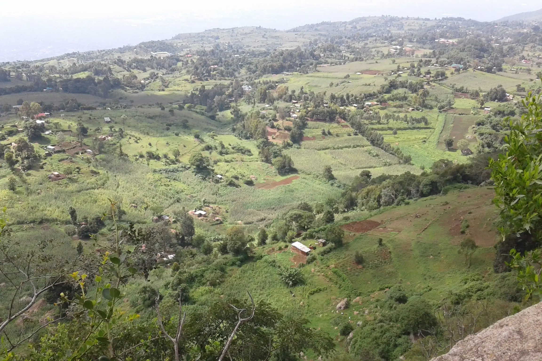 Green cultivated highlands falling away into a broad valley