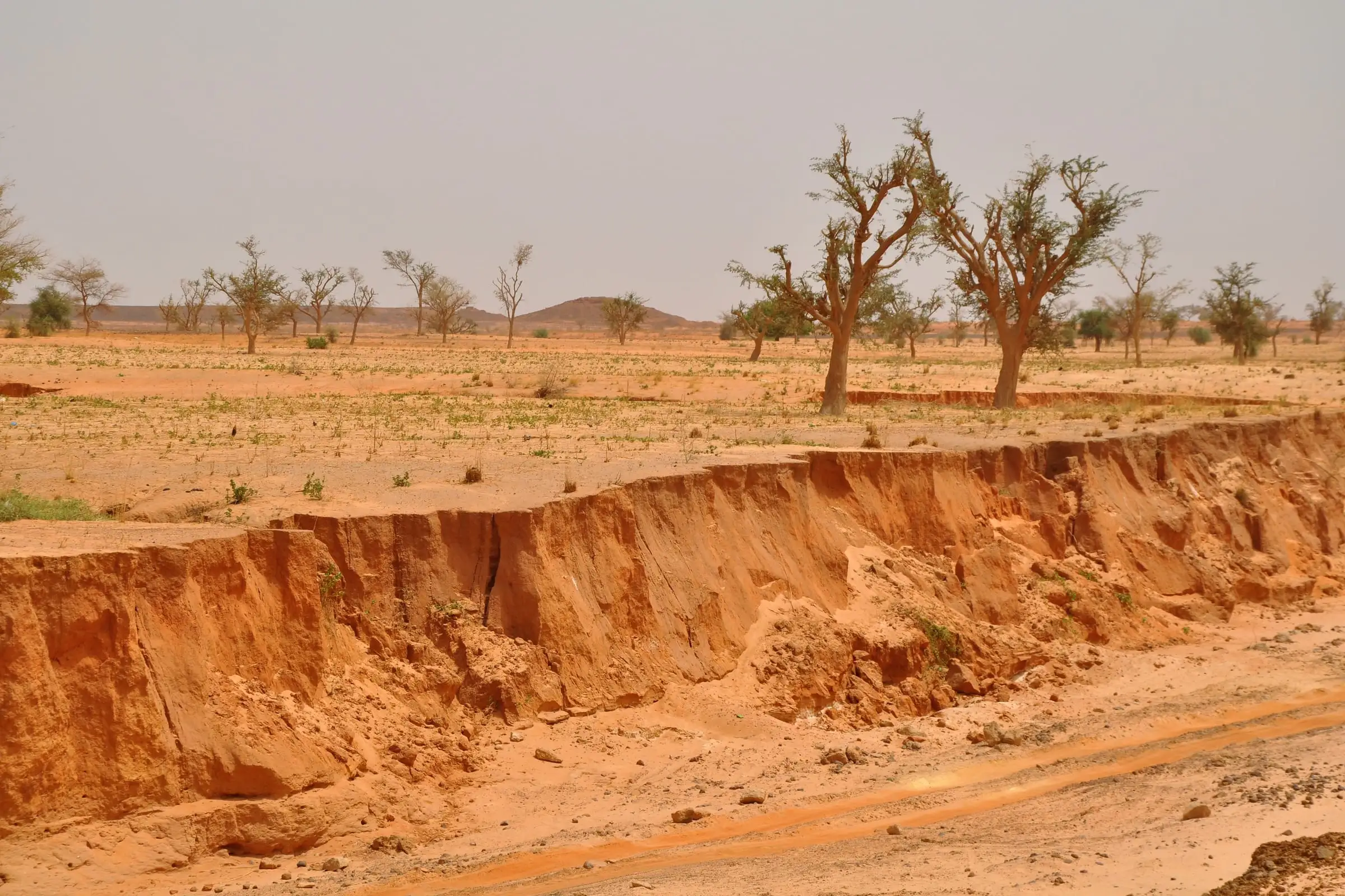 Terrain typical of Africa