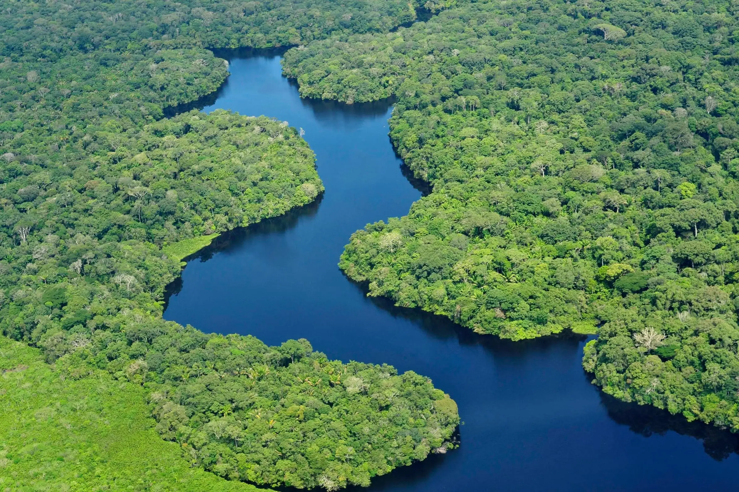 Terrain typical of Latin America and the Caribbean